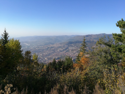 Slika